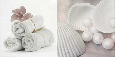 Декор APE Ceramica Blancos Dec Bath I 25x50