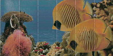 Декор El Molino Agata Sunset Aquarium Decor 3 25x50 (комплект)