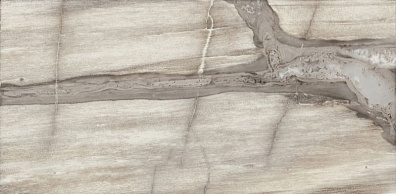 Напольная плитка Emil Ceramica Petrified Tree Core Grey Panther Lapp 44.4x89