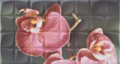Декор Rocersa Glamour Dec. Orchid C Rosa RSA 31,6x59,3