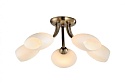 Потолочная люстра Lussole LGO-25 LSP-0189