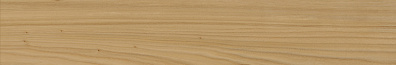 Напольная плитка Italon Element Wood Olmo Nat. Ret. 20x120