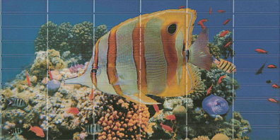 Декор El Molino Agata Sunset Aquarium Decor 1 25x50 (комплект)