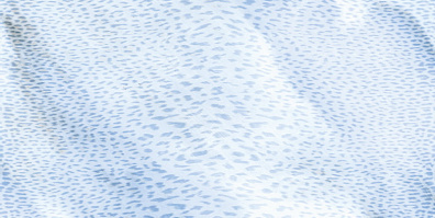 Напольная плитка Roberto Cavalli Giaguaro Mask Ocean Blu Rett 60x120