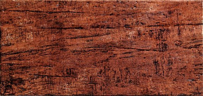 Настенная плитка Venus Ceramica Kaliva Cherry 20,2x50,4