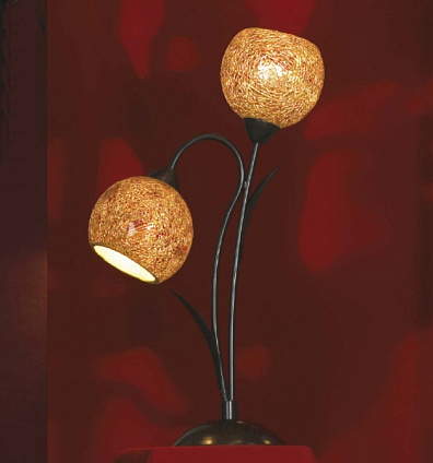 Настольная лампа Lussole Bagheria LSF-6204-02