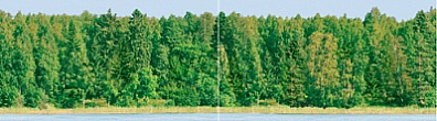 Декор Ceradim Forest 25х90 (комплект)