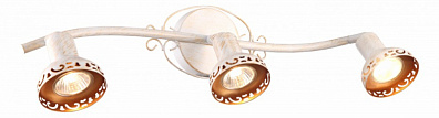 Спот Arte Lamp Focus A5219PL-3WG