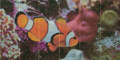 Декор El Molino Agata Sunset Aquarium Decor 2 25x50 (комплект)