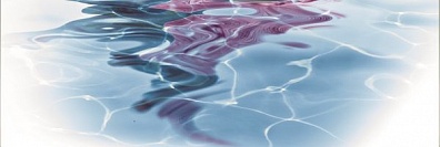 Декор Ceracasa Brazil Cenefa Nova 25x73