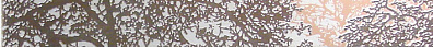 Бордюр Polcolorit Castylia Klon Drzewo Mix 6.5x60 (комплект)