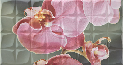 Декор Rocersa Glamour Dec. Orchid B Rosa RSA 31,6x59,3