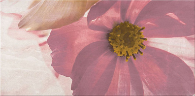 Декор Opoczno Stone Rose Flower А 29,7x60