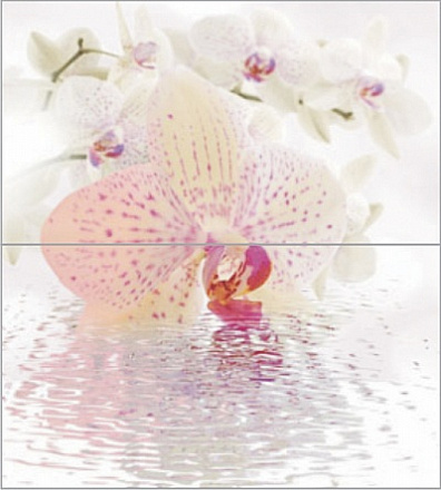 Декор Ceradim Orchid Dec 50х45 (комплект)