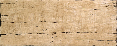 Настенная плитка Venus Ceramica Kaliva Beige 20,2x50,4