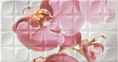Декор Rocersa Glamour Dec. Orchid B Blanco BLN 31,6x59,3