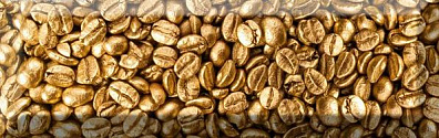 Декор Absolute Keramika Coffee Beans & Grapes Coffee Beans 02 10x30