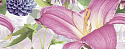 Декор Ceradim Amoria Dec Panno B 20x50