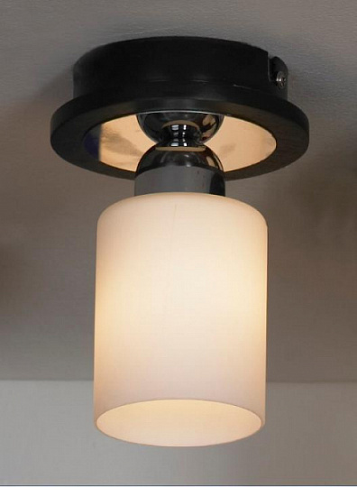 Потолочный светильник Lussole Caprile LSF-6107-01