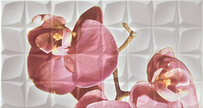 Декор Rocersa Glamour Dec. Orchid C Blanco BLN 31,6x59,3