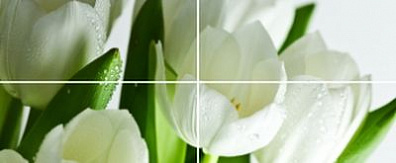 Панно Polcolorit Arco Digital Tulipany 50x120 (комплект)
