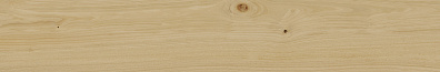 Напольная плитка Italon Element Wood Faggio Nat. Ret. 20x120