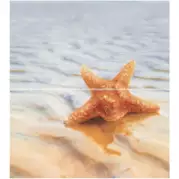 Декор Ceradim Starfish Dec 1 50х45 (комплект)
