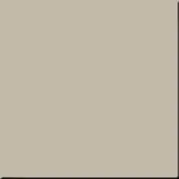 Напольная плитка Estima Rainbow RW 031 60x60