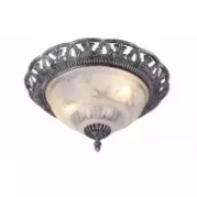 Настенно-потолочный светильник Arte Lamp Piatti A8001PL-2SB