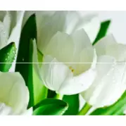 Панно Polcolorit Arco Digital Tulipany 50x60 (комплект)
