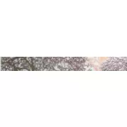 Бордюр Polcolorit Castylia Klon Drzewo Mix 6.5x60 (комплект)