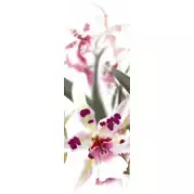 Декор Дельта Керамика Мидори P2 Orchid 24,9x72,8
