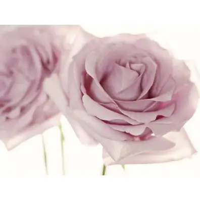 Фотообои Eijffinger Wallpower Next 393051 3,72x2,8