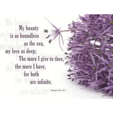 Фотообои Eijffinger Wallpower Next 393001 3,72x2,8