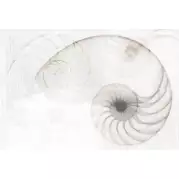 Панно Cersanit Nautilus Ракушка Многоцветный 40x60