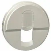 Лицевая панель розетки RJ45 Legrand Celiane 068551 Титан