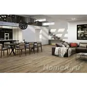 Porcelanite Dos 1316