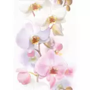 Декор Cersanit Vilena Orchids Белый 25х35