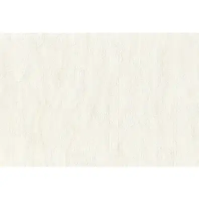 Виниловые обои Monte Solaro Bali 9028-00