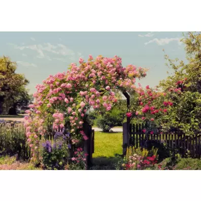 Komar Цветы Rose Garden 3,68x2,54