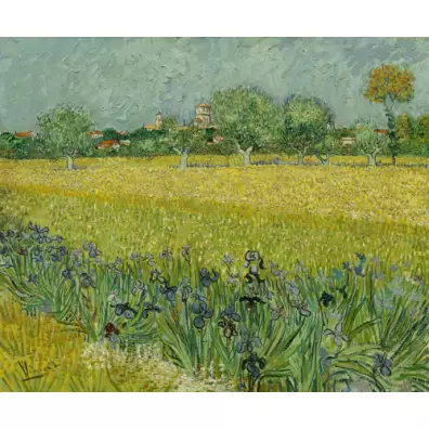 Виниловые обои BN Van Gogh 30543 3,25x2,70