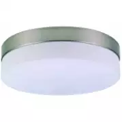 Настенно-потолочный светильник Globo Opal 48402