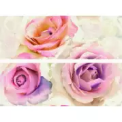 Декор Venus Ceramica Joy Decor Roses 50x70 (комплект)