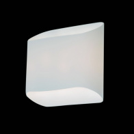 Настенно-потолочный светильник Lightstar Muro 808620