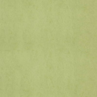 Флизелиновые обои Covers Wall Coverings Chroma 58-Lime