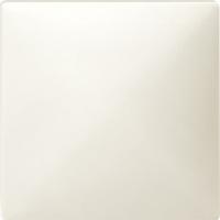 

Накладка выключателя/переключателя JUNG EcoProfi EP490WW Белый (Клавиша/Кнопка), EcoProfi EP490WW Белый (Клавиша/Кнопка)