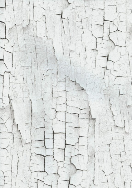 

Виниловые обои BN Essentials 218020, Essentials 218020