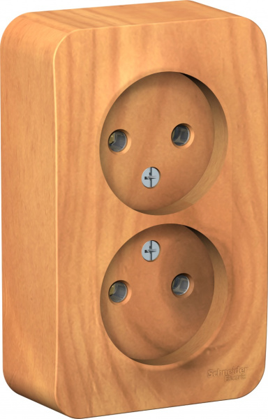 

Электрическая розетка Schneider Electric Blanca BLNRA000205 Ясень, Blanca BLNRA000205 Ясень