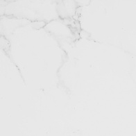 Напольная плитка Porcelanosa Marmol Carrara Blanco Brillo 59,6x59,6