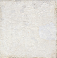 Настенная плитка Aparici Aged White 20x20